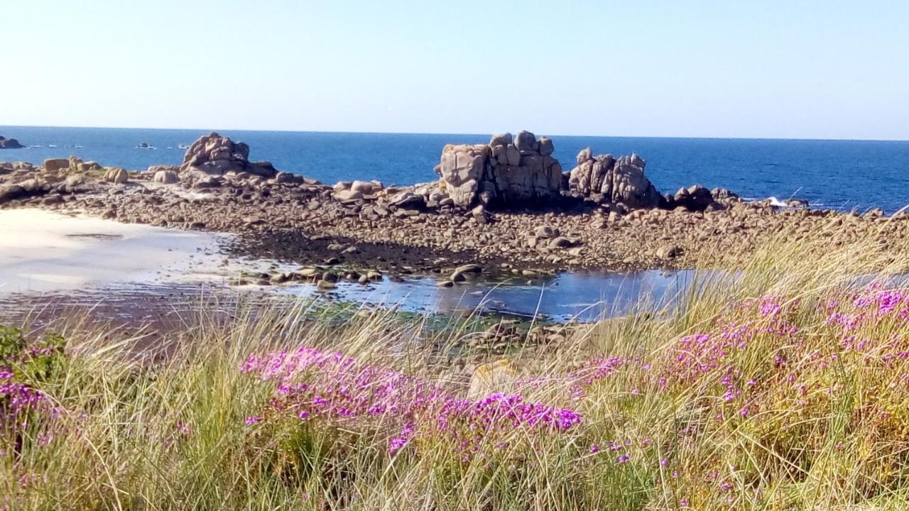 Вілла Tiny House Sur La Cote Bretonne Cleder Екстер'єр фото